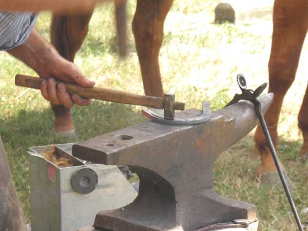 img16.JPG